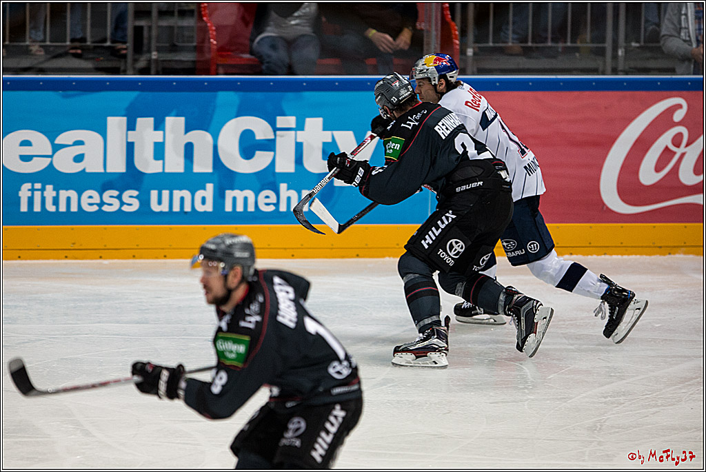 Koelner Haie - EHC Red Bull Muenchen , 16.09.16(KW37)